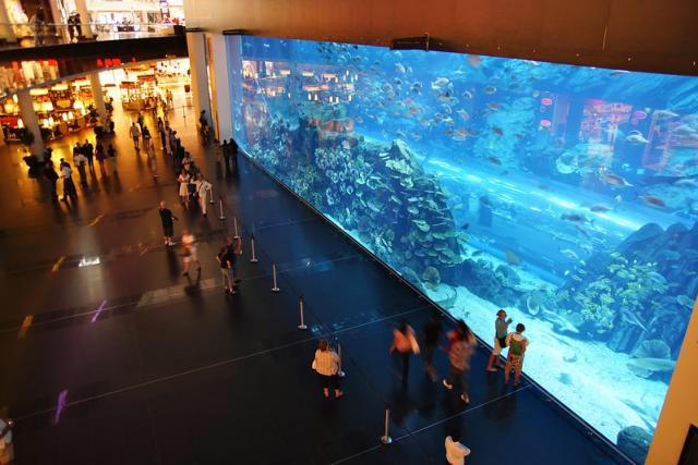 Dubai Aquarium - The Dubai Mall