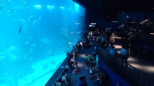 S.E.A. Aquarium Singapore