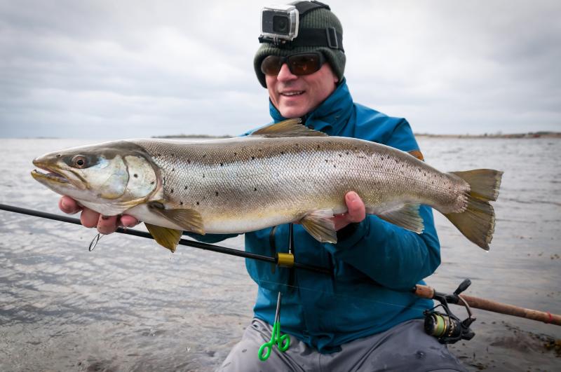 Piotr-Wawrzyniuk-adobe-stock-sea-trout