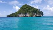 Palau Haaienreservaten The Reef World Foundation