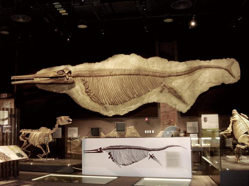 Kenneth Carpenter | Shonisaurus | Las Vegas