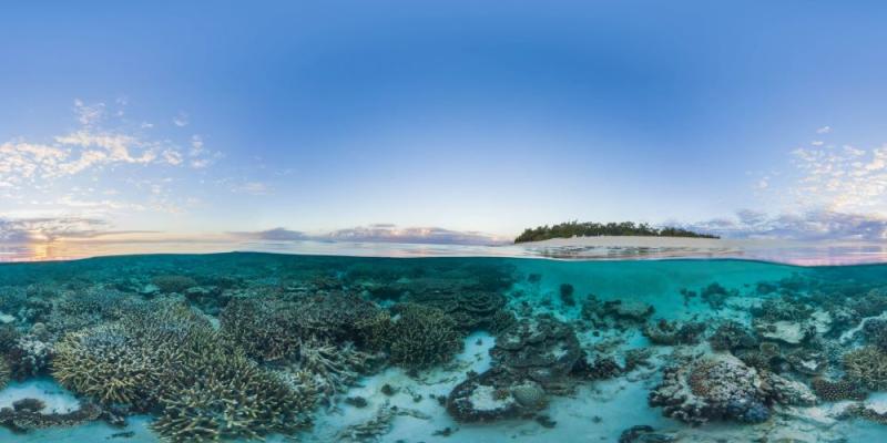 The Ocean Agency | Adobe Stock