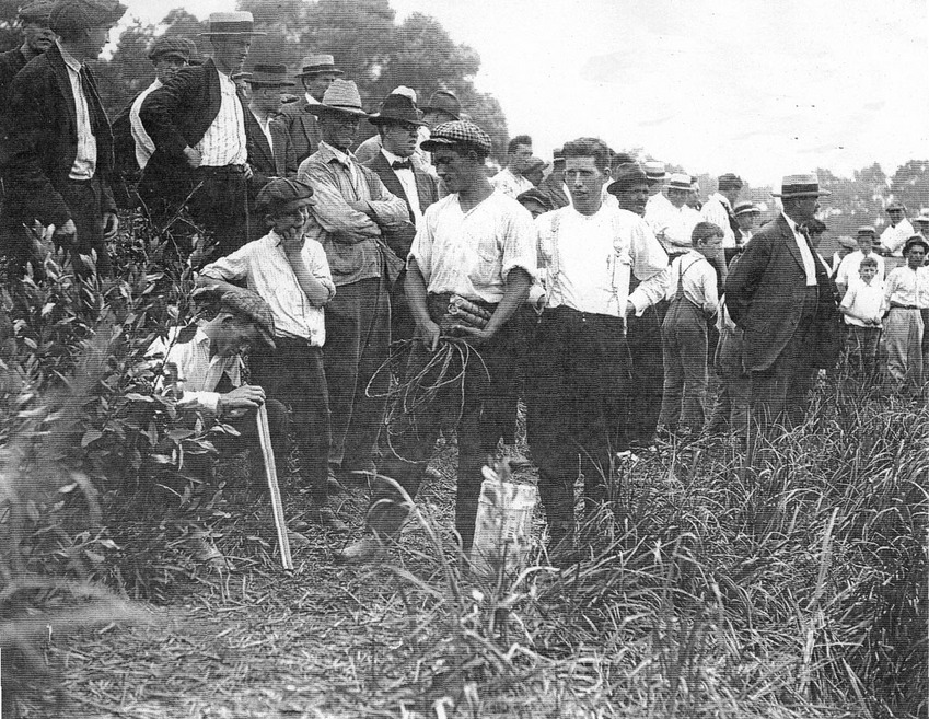 Jersey Shore haaienaanvallen - 1916