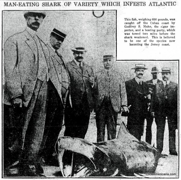 Jersey Shore haaienaanvallen - 1916
