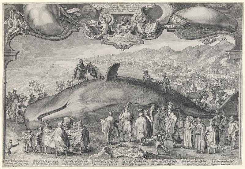 Gestrande walvis bij Beverwijk, 1601, Jan Saenredam, 1602