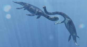 Elasmosaurus