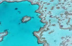 Great Barrier Reef 